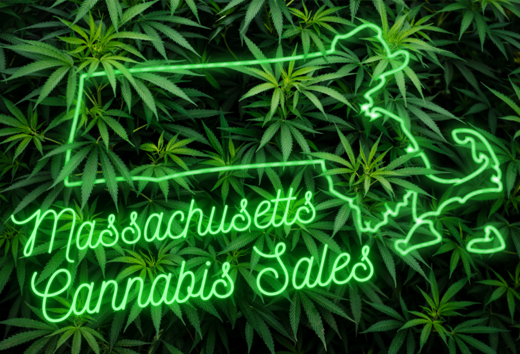 MA Cannabis Sales graphic