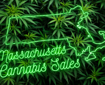 MA Cannabis Sales graphic