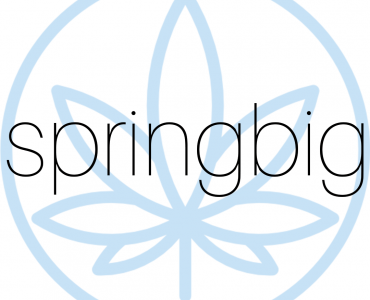 Springbig Logo