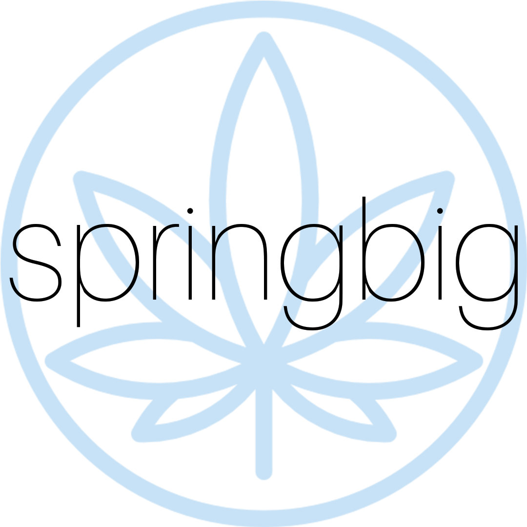 Springbig Logo
