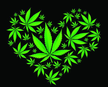 heart shape made out of cannabis leaves