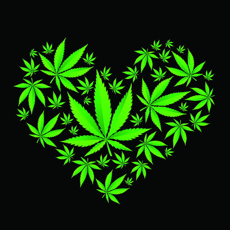 heart shape made out of cannabis leaves