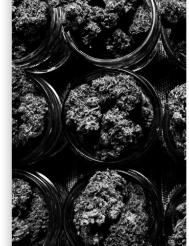 SE deck cannabis coordination image