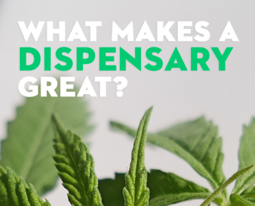 What makes a dispensary great image