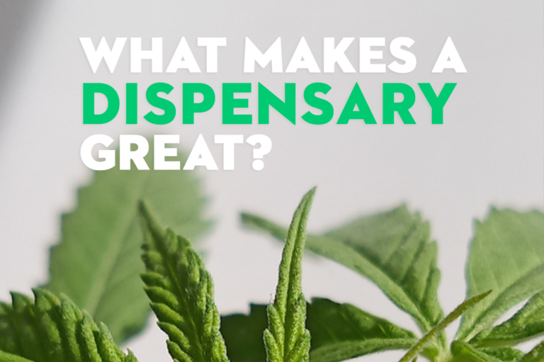 What makes a dispensary great image