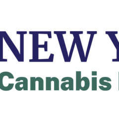 NEW YORK Cannabis info logo