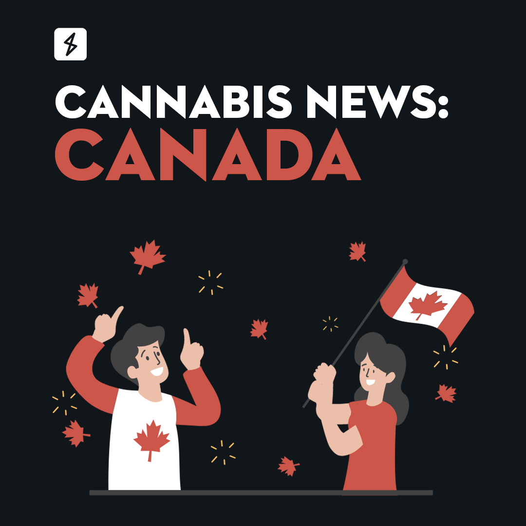 Cannabis News: Canada | Two people in Canada discussing Canadian Cannabis News.