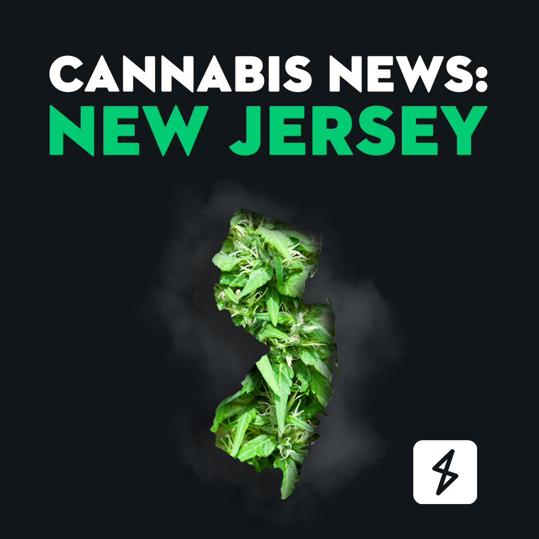Cannabis News: New Jersey | New Jersey state with a cannabis plant overlayed on top