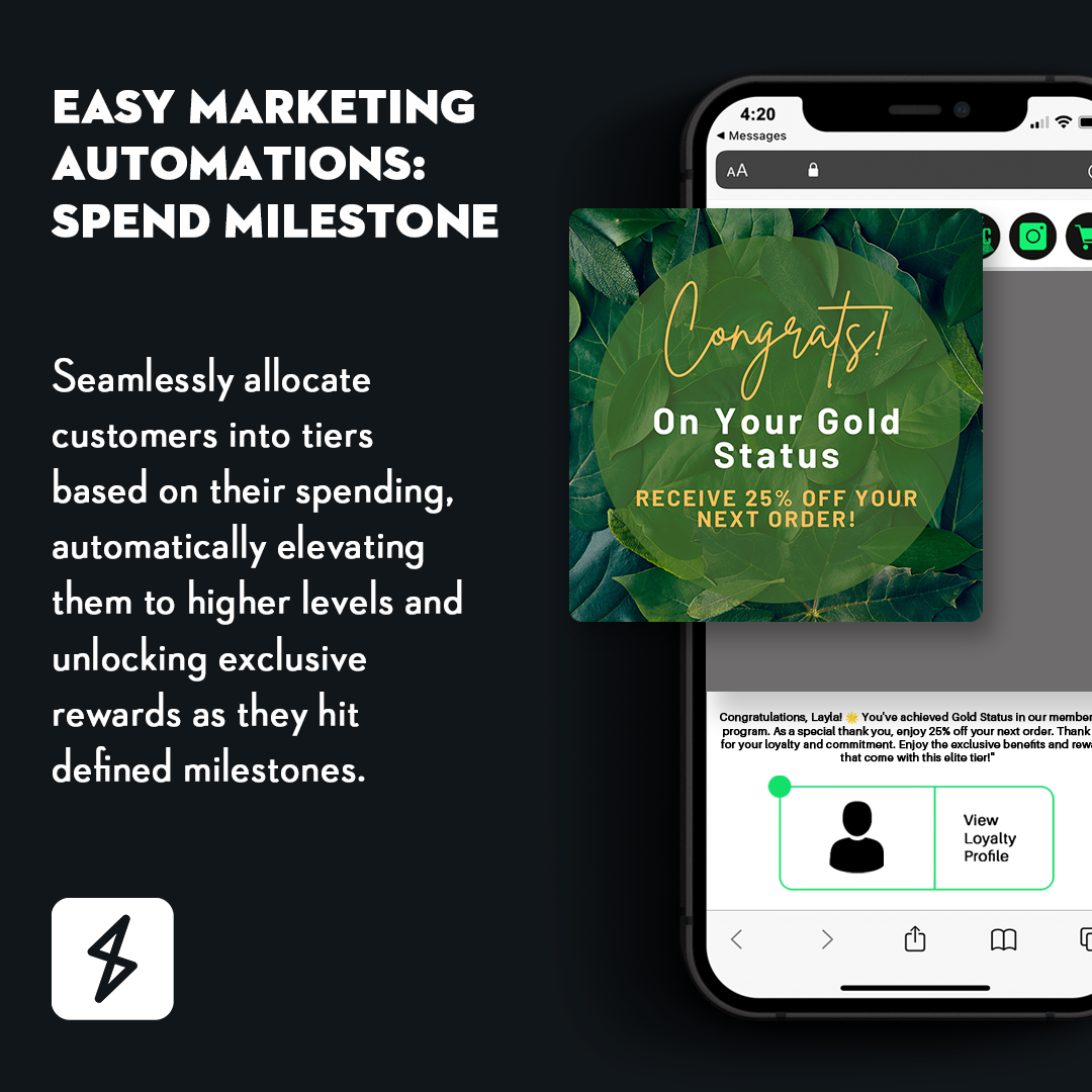 Seamlessly allocate customers into tiers based on their spending, automatically elevating them to higher levels and unlocking exclusive rewards as they hit defined milestones.