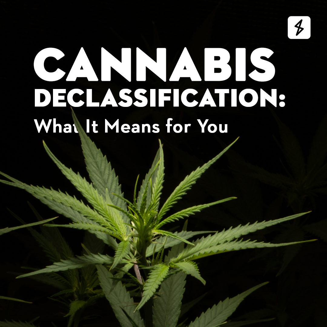 Cannabis Declassification: What it means for you!